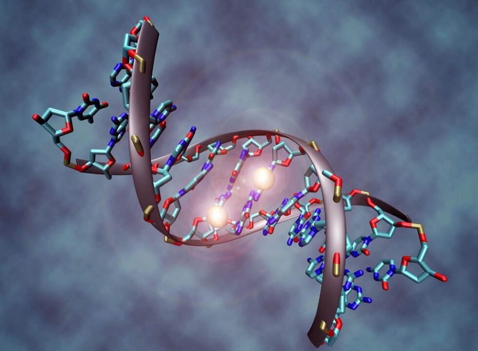 artritisaren zelula amak